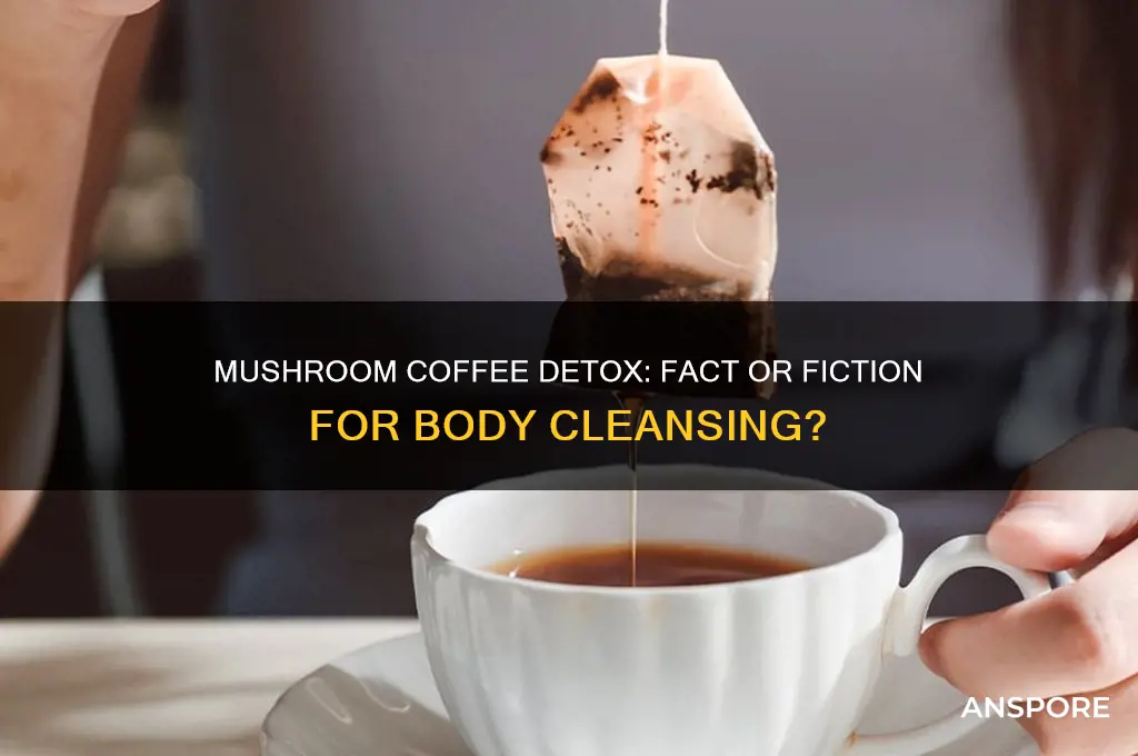 does mushroom coffee detox your body
