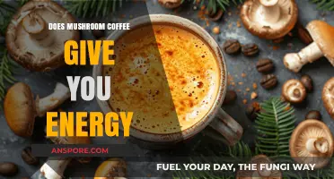 Mushroom Coffee Energy Boost: Fact or Fiction? Uncovering the Truth