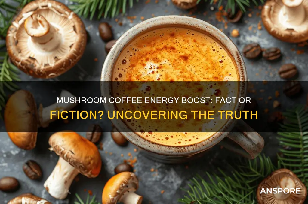 does mushroom coffee give you energy