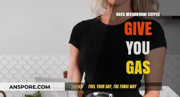 Mushroom Coffee and Gas: What's the Link?
