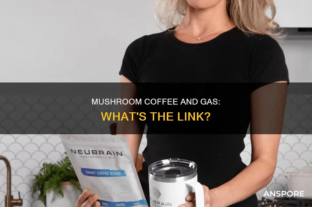 does mushroom coffee give you gas