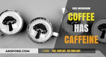Mushroom Coffee: Caffeine or Not?