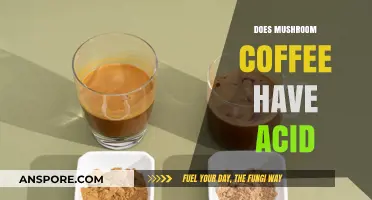 Mushroom Coffee: Acid or Not?