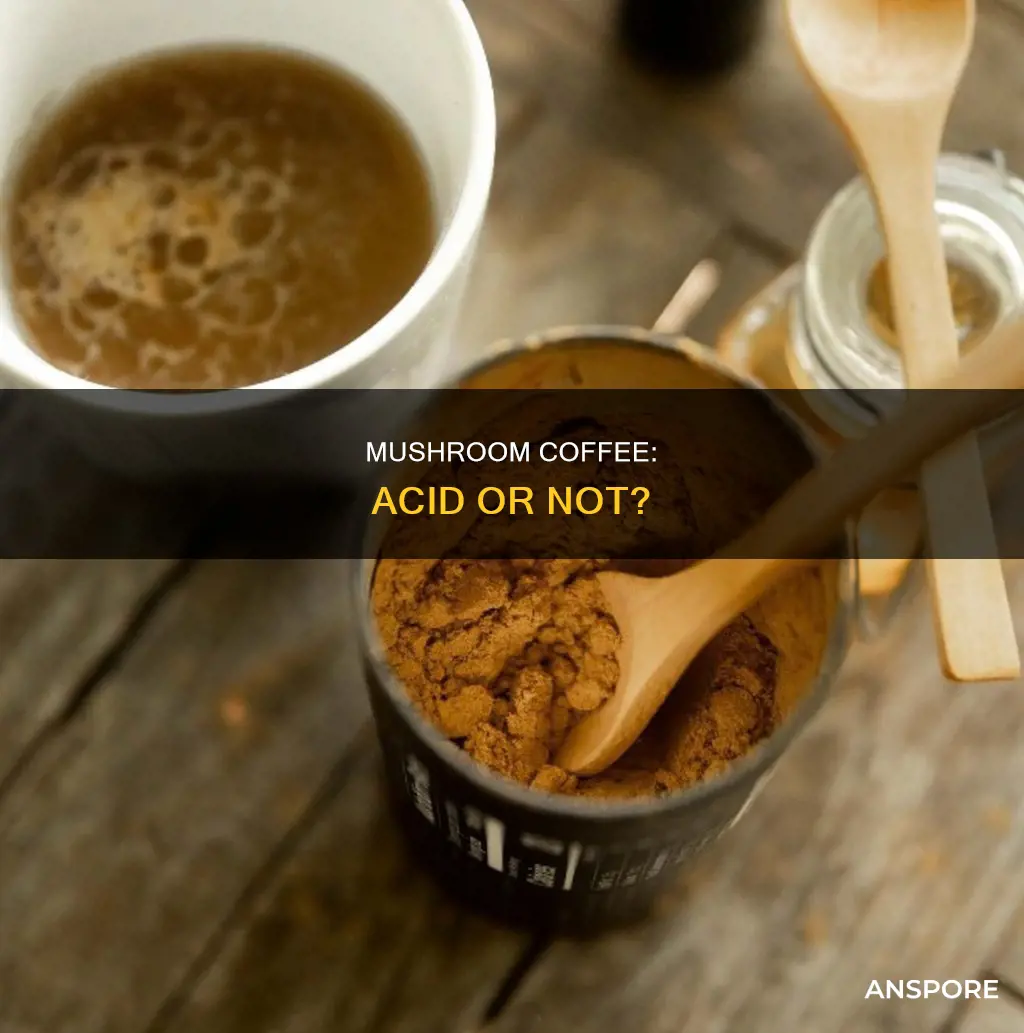 does mushroom coffee have acid