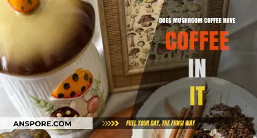 Mushroom Coffee Explained: Does It Actually Contain Coffee?