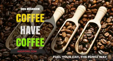 Mushroom Coffee: Does It Contain Caffeine?