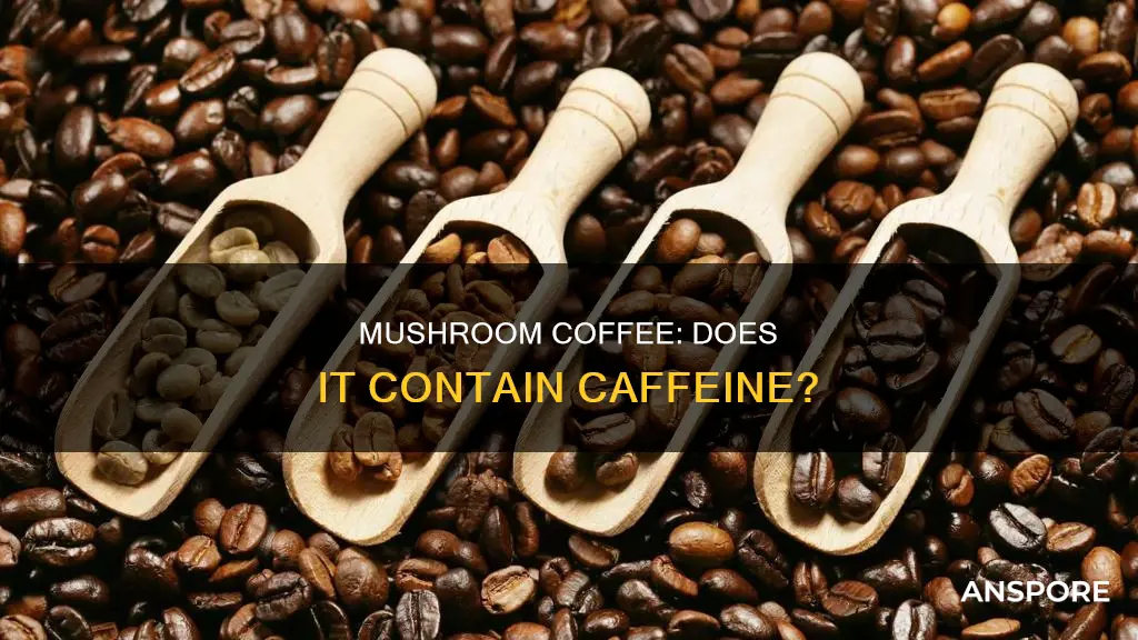 does mushroom coffee have coffee