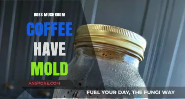 Mushroom Coffee: Does It Contain Mold?
