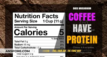 Mushroom Coffee: A Protein-Packed Brew?