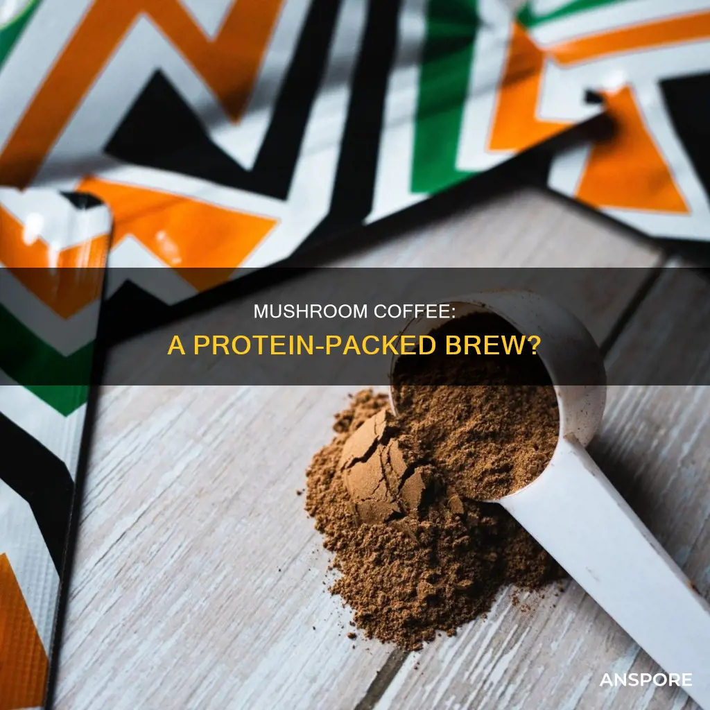 does mushroom coffee have protein