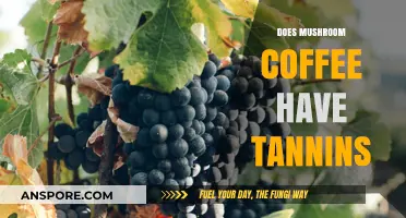 Mushroom Coffee and Tannins: What's the Deal?