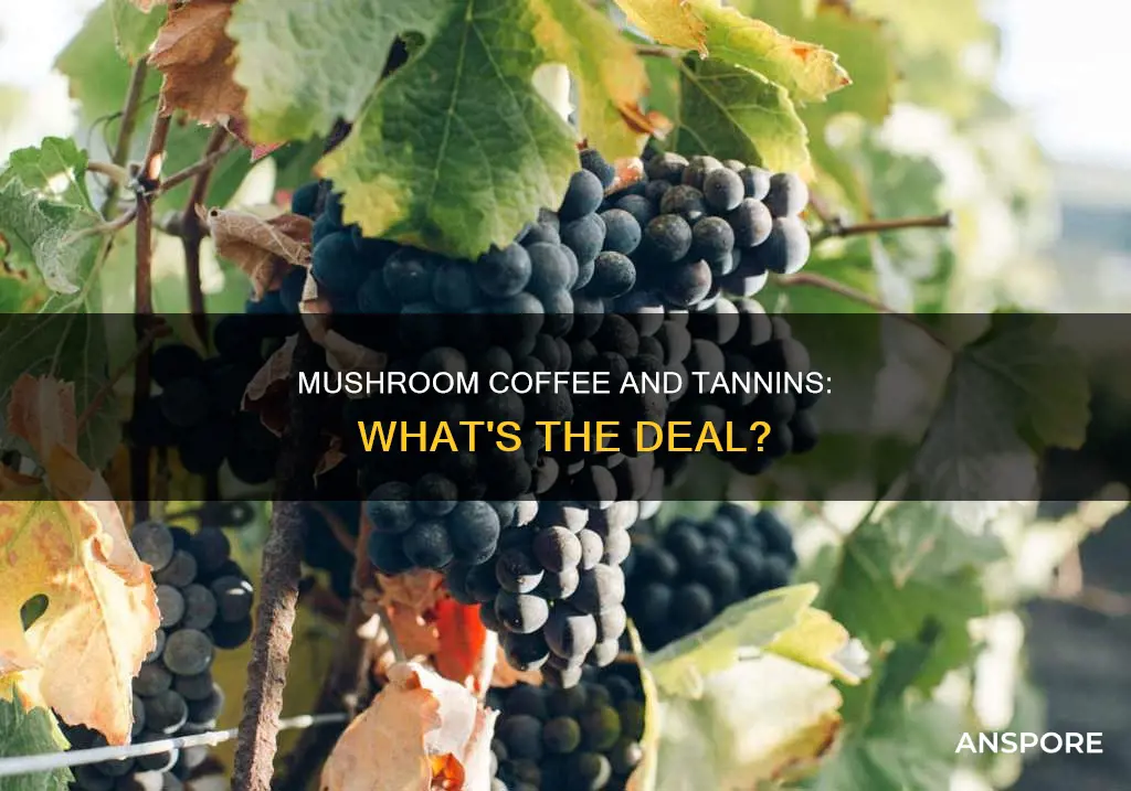 does mushroom coffee have tannins