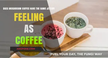 Mushroom Coffee: Jitter-Free Energy Source?