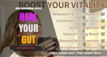 Mushroom Coffee: Gut Healer or Just a Fad?
