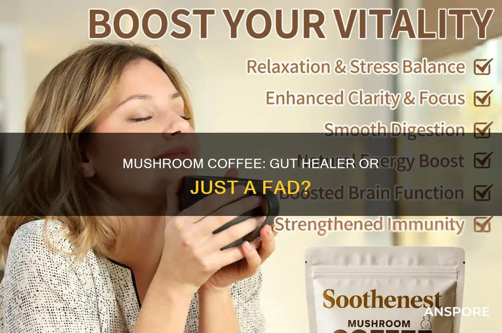 does mushroom coffee heal your gut