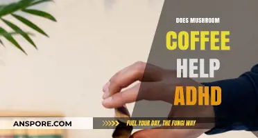 Mushroom Coffee: ADHD Miracle or Myth?