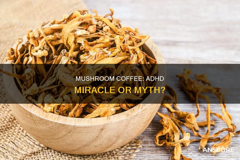 does mushroom coffee help adhd