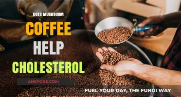 Mushroom Coffee: A Cholesterol-Lowering Brew?
