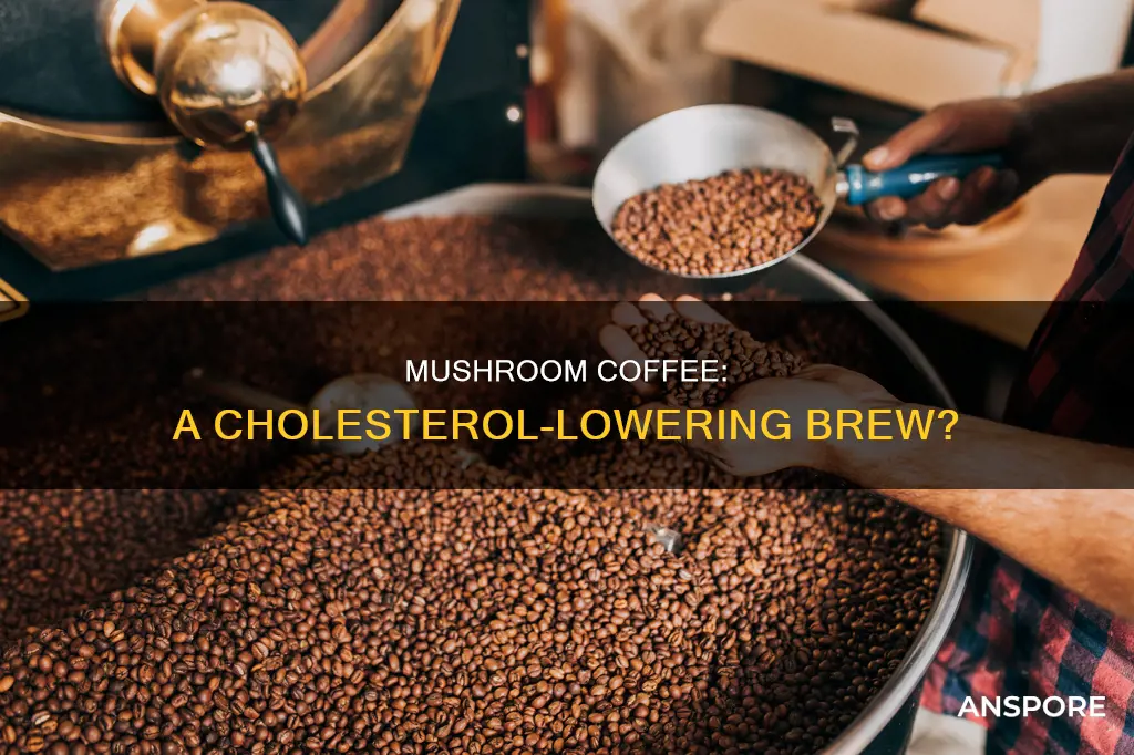 does mushroom coffee help cholesterol
