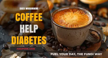 Mushroom Coffee: A Diabetes Treatment?