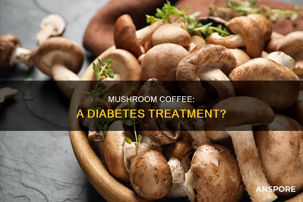 does mushroom coffee help diabetes
