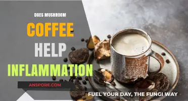 Mushroom Coffee: Reducing Inflammation, Fact or Fiction?