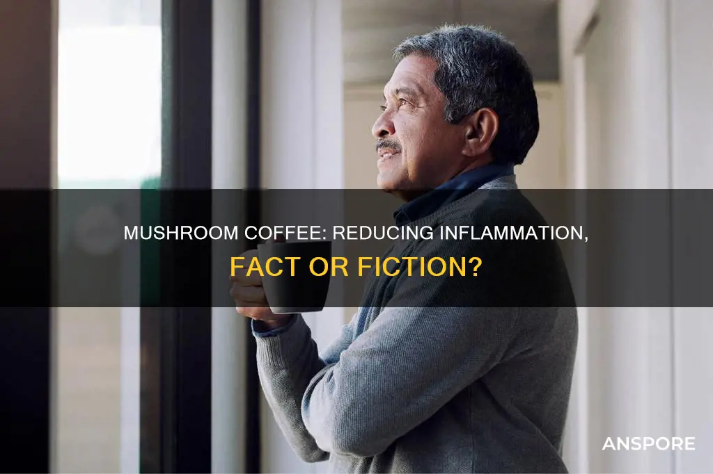 does mushroom coffee help inflammation