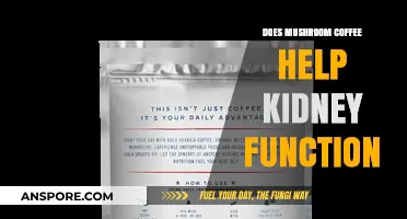 Mushroom Coffee: Kidney Function Miracle or Myth?