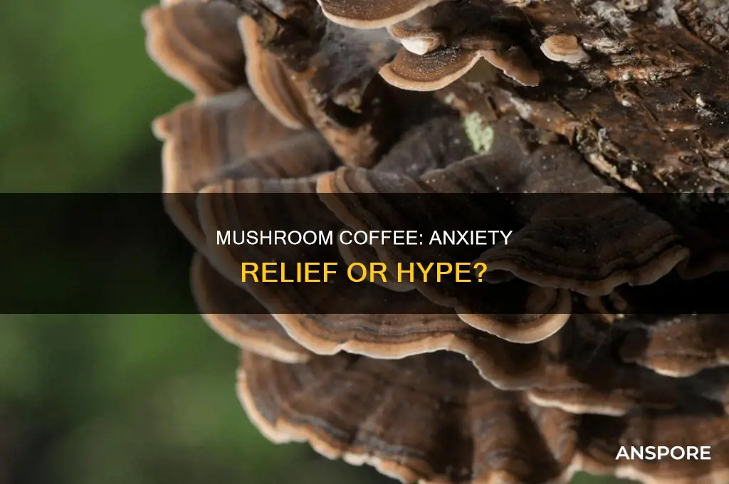 does mushroom coffee help with anxiety
