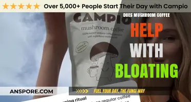 Mushroom Coffee and Bloating: Can This Brew Ease Digestive Discomfort?