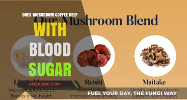 Mushroom Coffee and Blood Sugar: Benefits, Risks, and Science Explained
