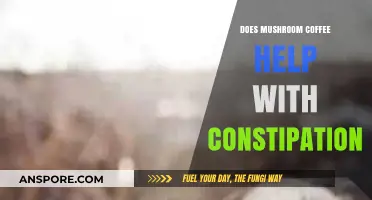 Mushroom Coffee and Constipation: Can It Relieve Digestive Issues?