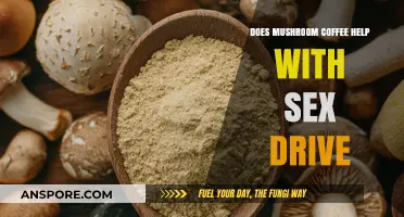 Mushroom Coffee: Can It Boost Your Libido?