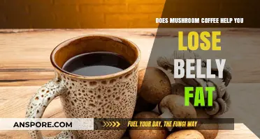 Mushroom Coffee and Belly Fat: Fact or Fiction for Weight Loss?