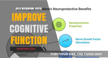 Mushroom Coffee: Cognitive Supercharger or Just a Fad?