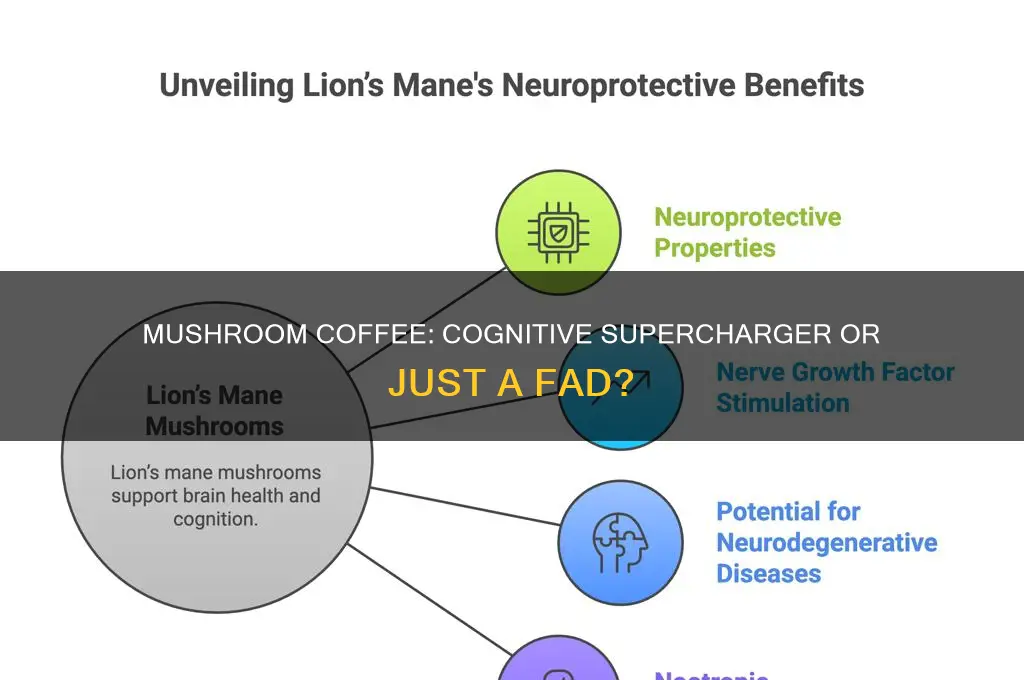 does mushroom coffee improve cognitive function