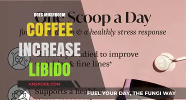 Mushroom Coffee: Libido Booster or Just a Fad?