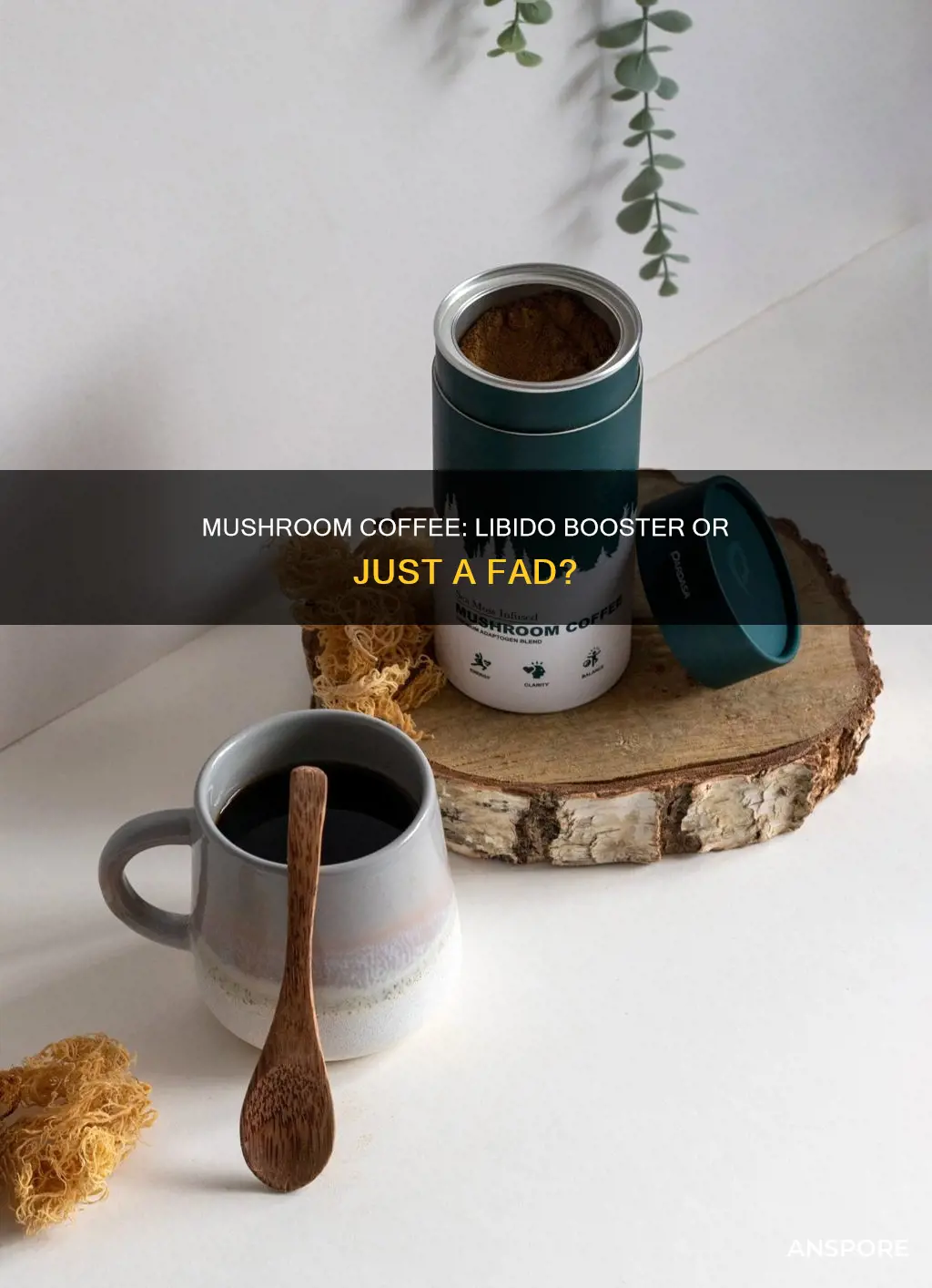 does mushroom coffee increase libido