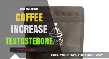 Mushroom Coffee and Testosterone: Does It Boost Your T-Levels?
