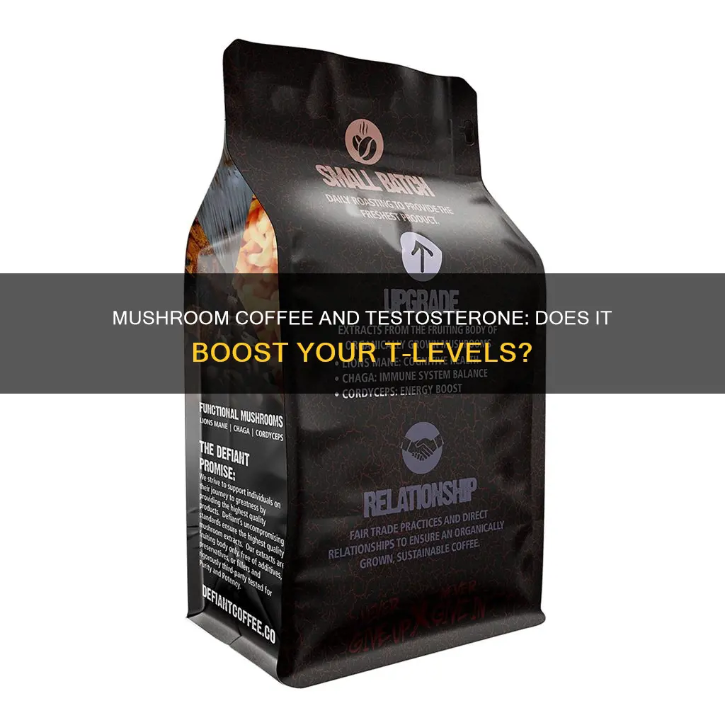 does mushroom coffee increase testosterone