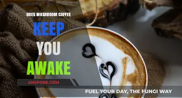Mushroom Coffee: A Natural Energy Boost Without the Jitters