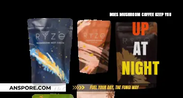 Mushroom Coffee: Sleep-Friendly Energy Boost?