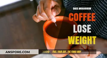 Mushroom Coffee: Weight Loss Wonder or Myth?