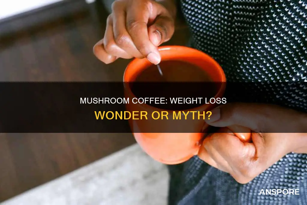 does mushroom coffee lose weight
