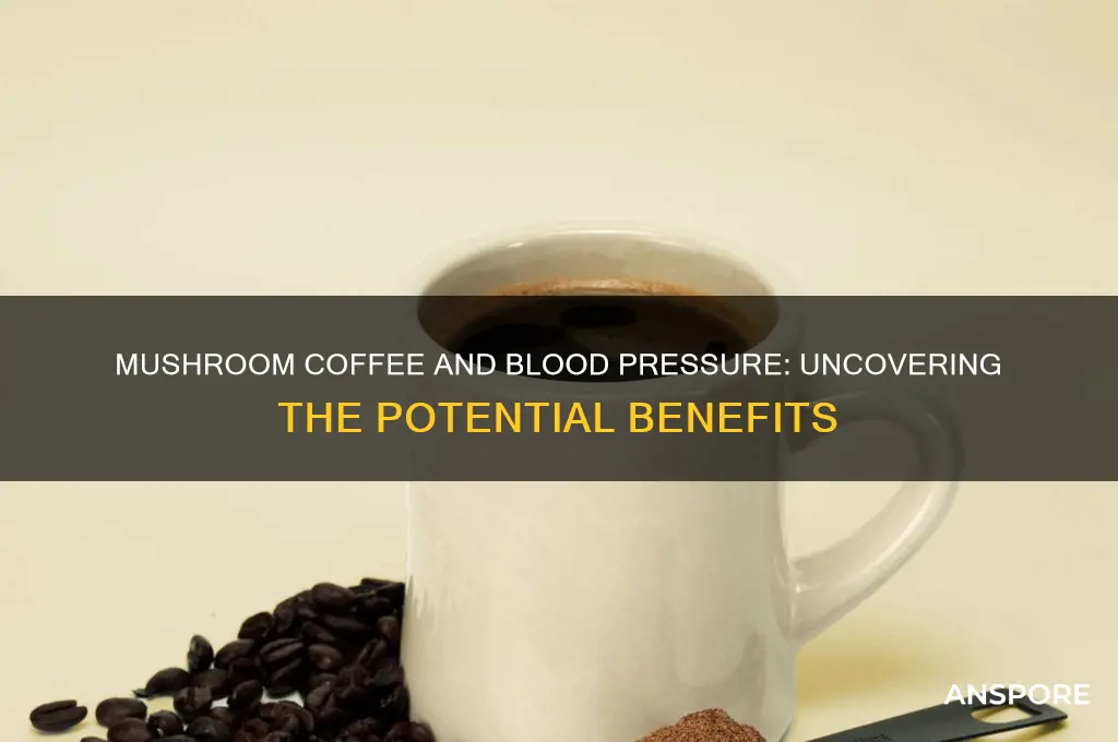 does mushroom coffee lower blood pressure