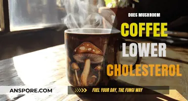 Mushroom Coffee: Cholesterol-Lowering Super Drink?