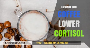 Mushroom Coffee: Cortisol's Natural Enemy?