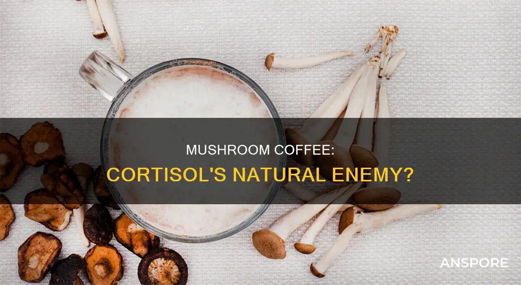 does mushroom coffee lower cortisol