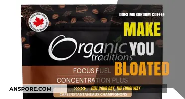 Mushroom Coffee and Bloating: Fact or Fiction? Unveiling the Truth