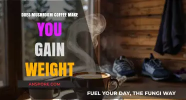 Mushroom Coffee and Weight Gain: Fact or Fiction?